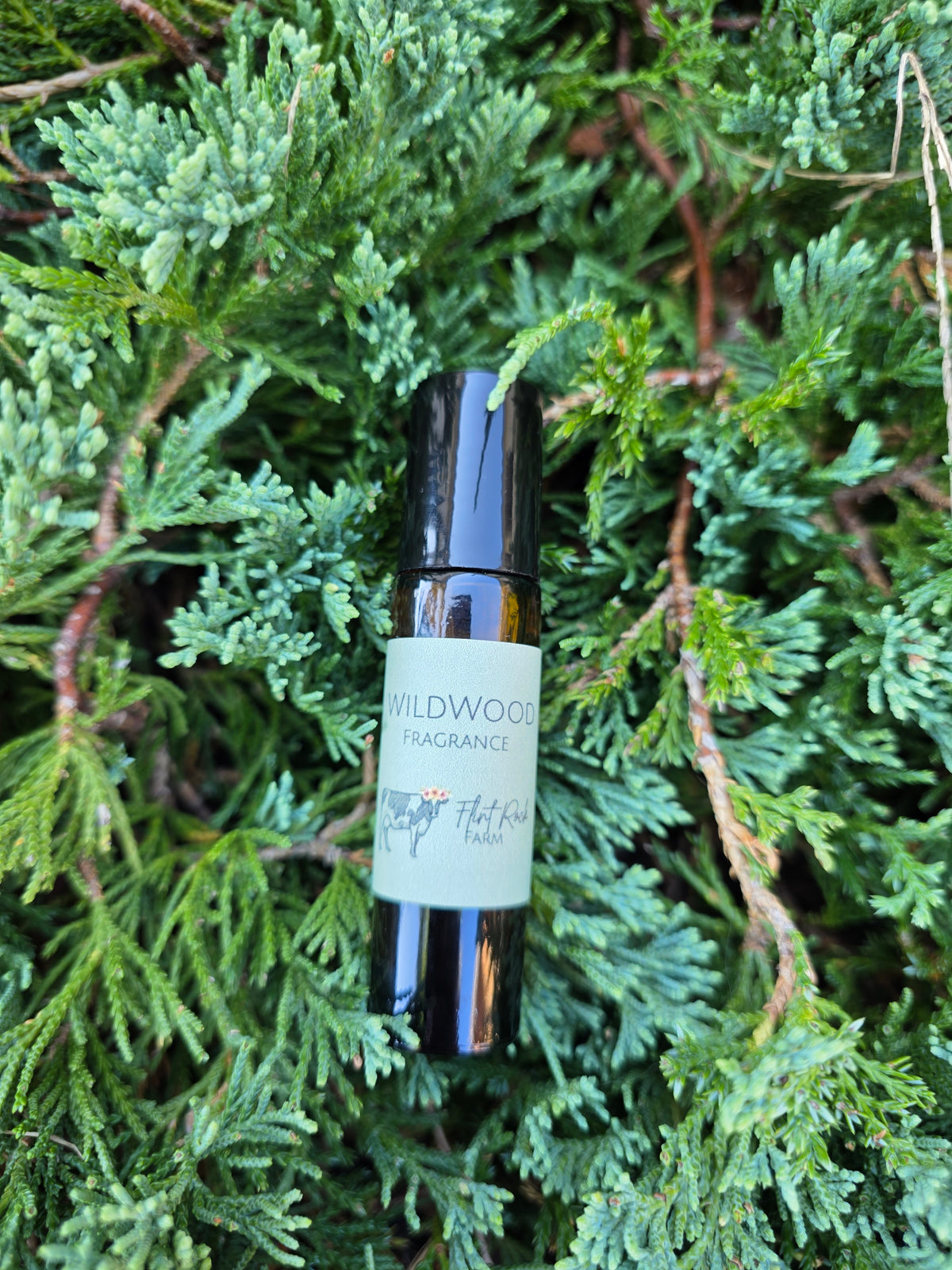 Wildwood Fragrance